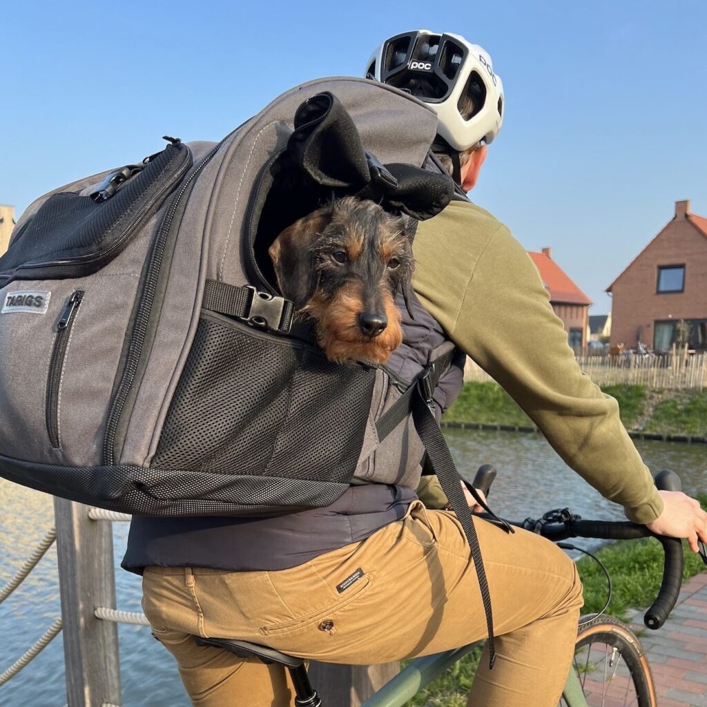 Teckel Draagtas: de perfecte oplossing voor uw hond