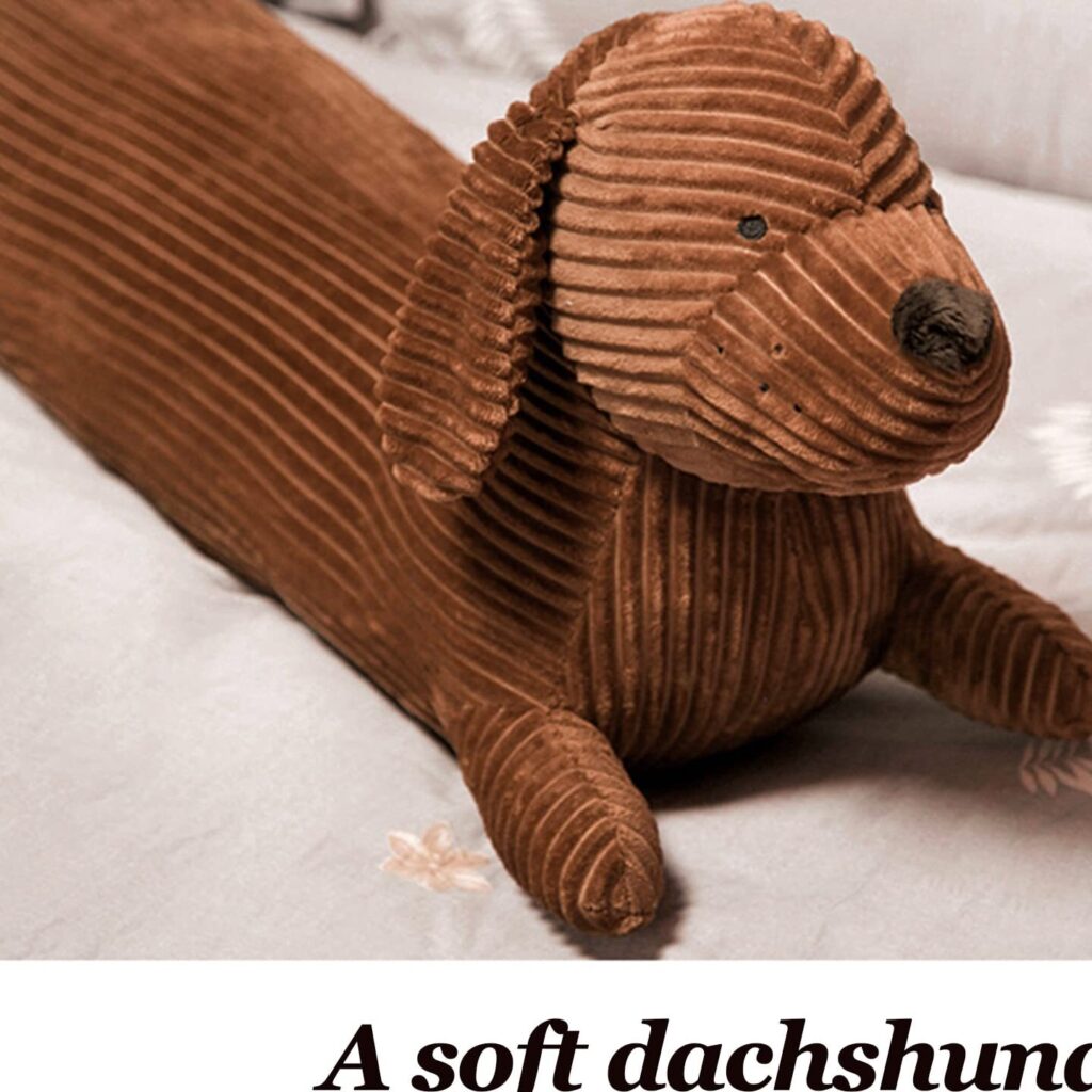 Knuffelige teckel: de perfecte huisgenoot voor iedereen