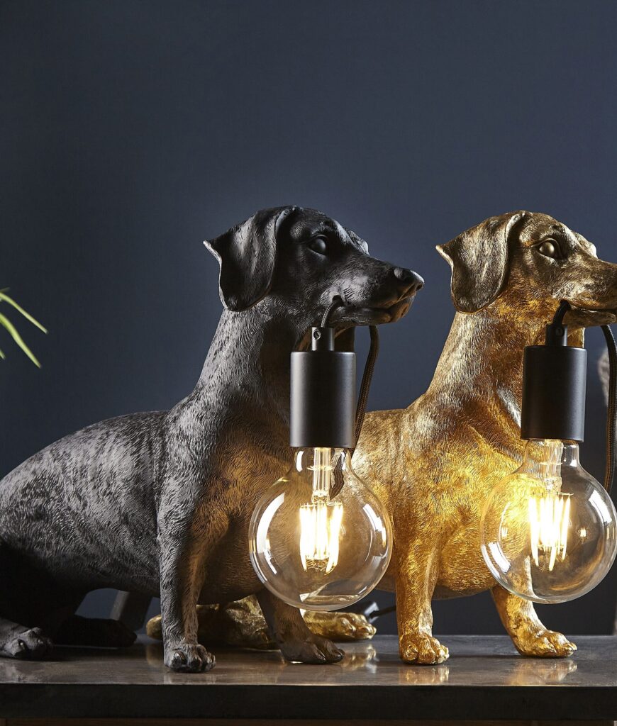 Teckellamp: De perfecte verlichting voor hondenliefhebbers