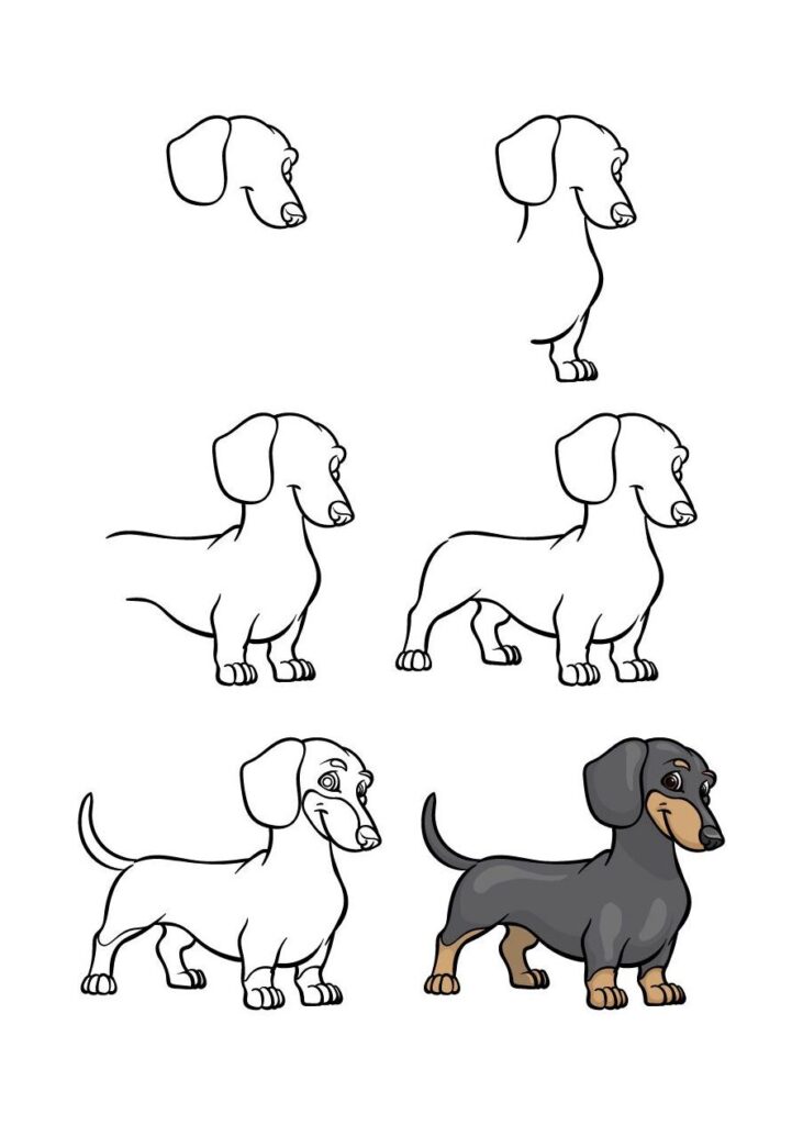 Teckeltekeningen: ontdek leuke illustraties en tips