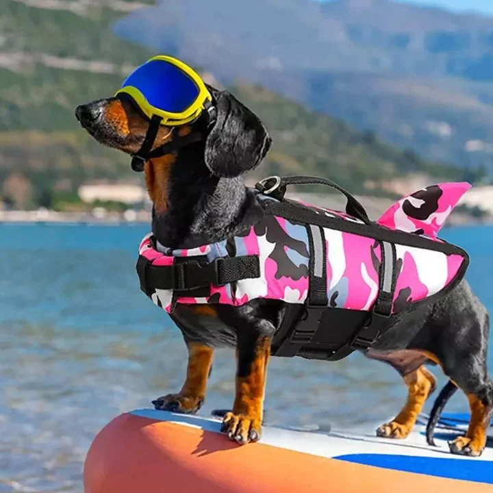 Teckel zwemvest: veiligheid en stijl voor uw hond