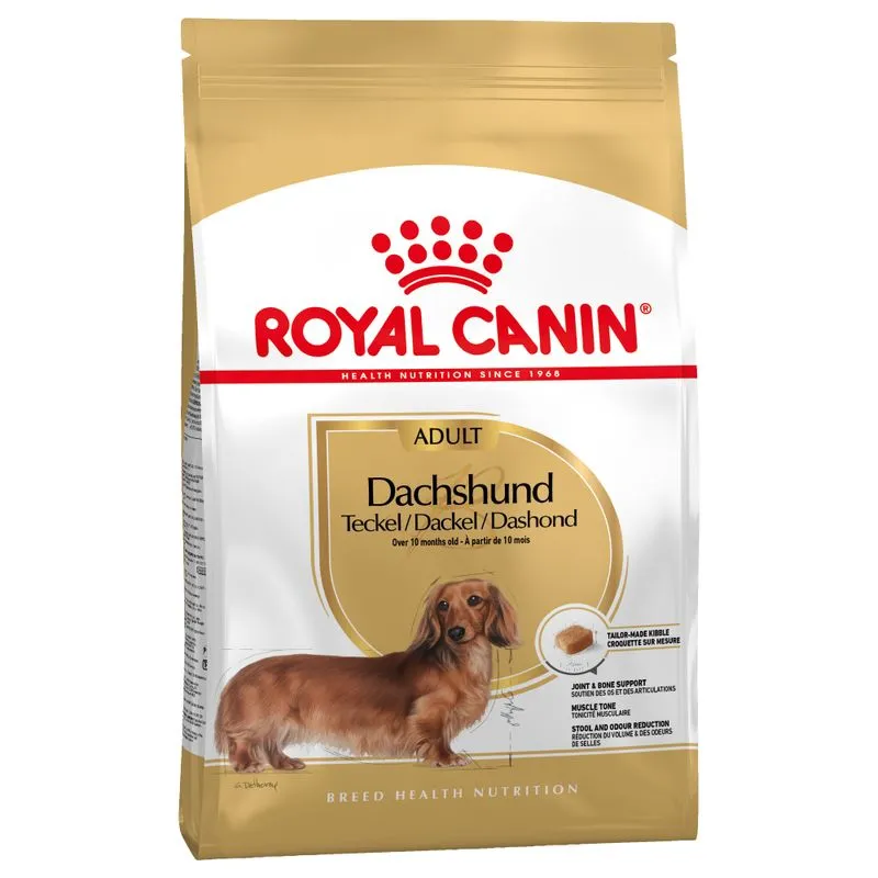 Teckel die Royal Canin hondenvoer krijgt – keuze tussen puppy, adult of 8+ leeftijd